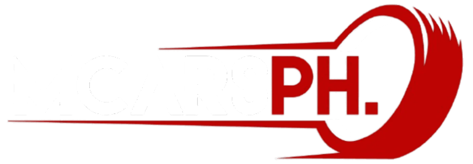 Logo Footer